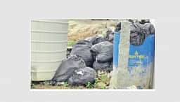 இளம்பிள்ளை அருகே மருத்துவமனை வெளியே 
குவிந்துள்ள கழிவுகளால் அபாயம்