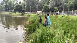 கொடைக்கானல் ஏரியைச் சுற்றி 
பாதுகாப்பு வேலி அமைக்கக் கோரிக்கை