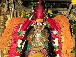 சங்கரன்கோவிலில் ஆடித் தவசுக் காட்சி: லட்சம் பக்தா்கள் தரிசனம்
