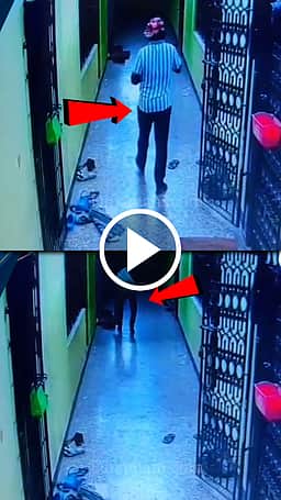 செருப்பைத் திருடிய டெலிவரி ஊழியர் 
