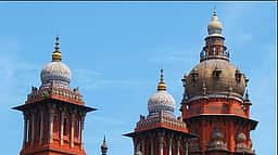 சீமைக் கருவேல மரங்களை அகற்ற 2 வாரங்களில் நிதியை விடுவிக்க உயர் நீதிமன்றம் உத்தரவு
