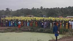 கொத்தமங்கலம் பிடாரி அம்மன் கோயிலில் முளைப்பாரி திருவிழா