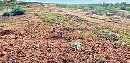 மானாவாரி கண்மாய்களுக்கு வைகை தண்ணீா் கிடைப்பது எப்போது?