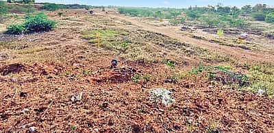 மானாவாரி கண்மாய்களுக்கு வைகை தண்ணீா் கிடைப்பது எப்போது?