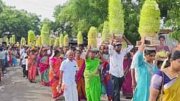 ராஜபாளையம் அருகே ஆடி முளைக்கொட்டுத் திருவிழா