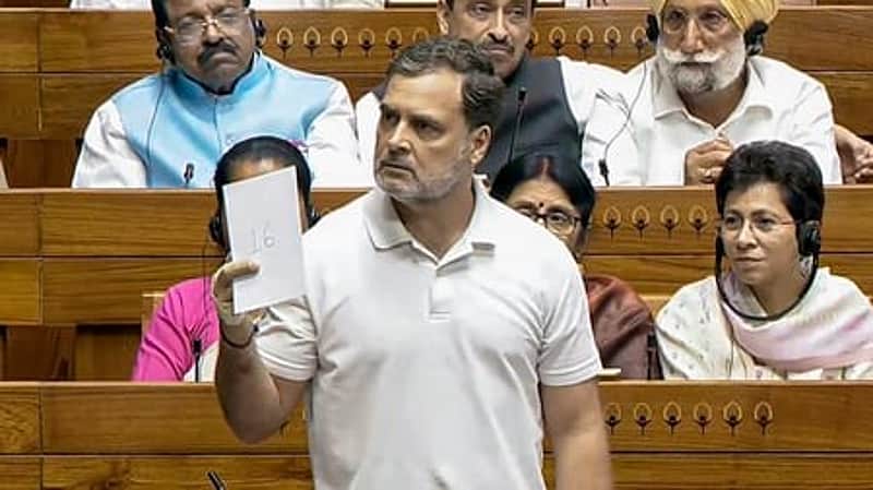 Leader of the Opposition in the Lok Sabha, Rahul Gandhi.