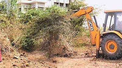 சீமைக் கருவேல மரங்களை அகற்றி நாட்டு மரக்கன்றுகளை நடவு செய்யக் கோரி மனு