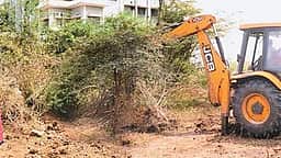 சீமைக் கருவேல மரங்களை அகற்றி நாட்டு மரக்கன்றுகளை நடவு செய்யக் கோரி மனு