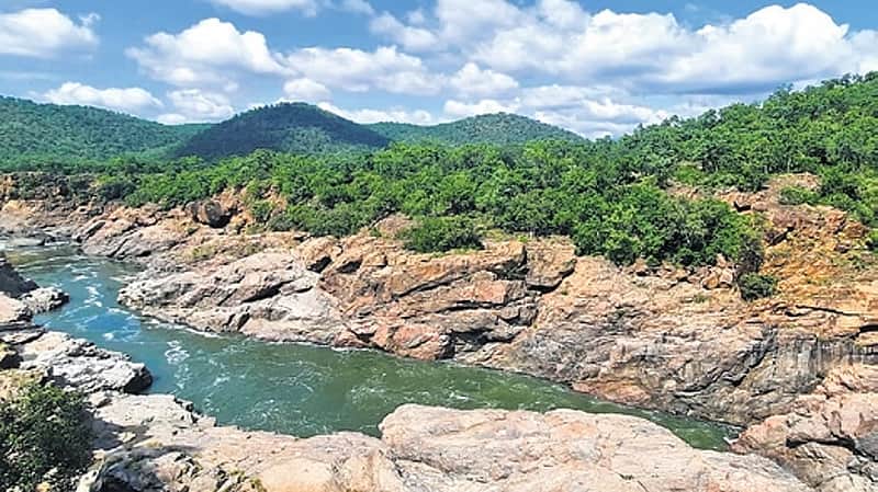 Mekedatu Dam Detailed Project Report Rejected