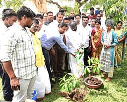 ரூ.1.44 கோடியில் சீரமைக்கப்பட்ட திருமங்கலம் பிள்ளையாா் கோயில் குளம் திறப்பு