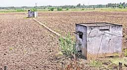 குறுவை சாகுபடி பரப்பு சரிவு:  இழப்பீடு கோரும் விவசாயிகள்!