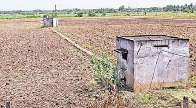 குறுவை சாகுபடி பரப்பு சரிவு:  இழப்பீடு கோரும் விவசாயிகள்!