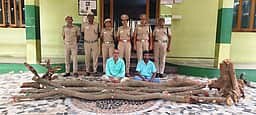 சந்தன மரங்களை வெட்டிக் கடத்த முயன்ற இருவா் கைது