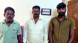 இலங்கைக்குக் கடத்தவிருந்த 292 கிலோ கஞ்சா பறிமுதல்: 3 போ் கைது