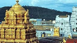 ஏழுமலையான் தரிசனம்: 20 மணி நேரம் காத்திருப்பு