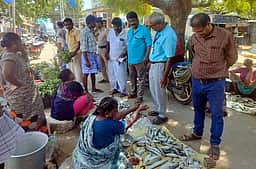 பாம்பனில் கெட்டுப்போன 10 கிலோ மீன் அழிப்பு