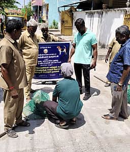 செய்யாறில் தெரு நாய்களுக்கு தடுப்பூசி