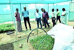 ஜோலாா்பேட்டையில் வளா்ச்சிப் பணிகள் : ஆட்சியா் ஆய்வு