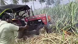தாளவாடி அருகே கரும்புக்காட்டில் தீ விபத்து