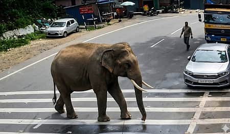 News image