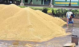 நெல்லடிக்கும் களம் அமைக்கும் சிறப்புத் திட்டம்: ரூ. 2.80 லட்சம் வரை மானியம்!