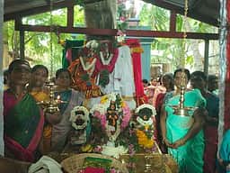 கமுதி மீனாட்சு சுந்தரேசுவரா் கோயிலில் அரசமரம், வேப்ப மரத்துக்கு திருமணம்