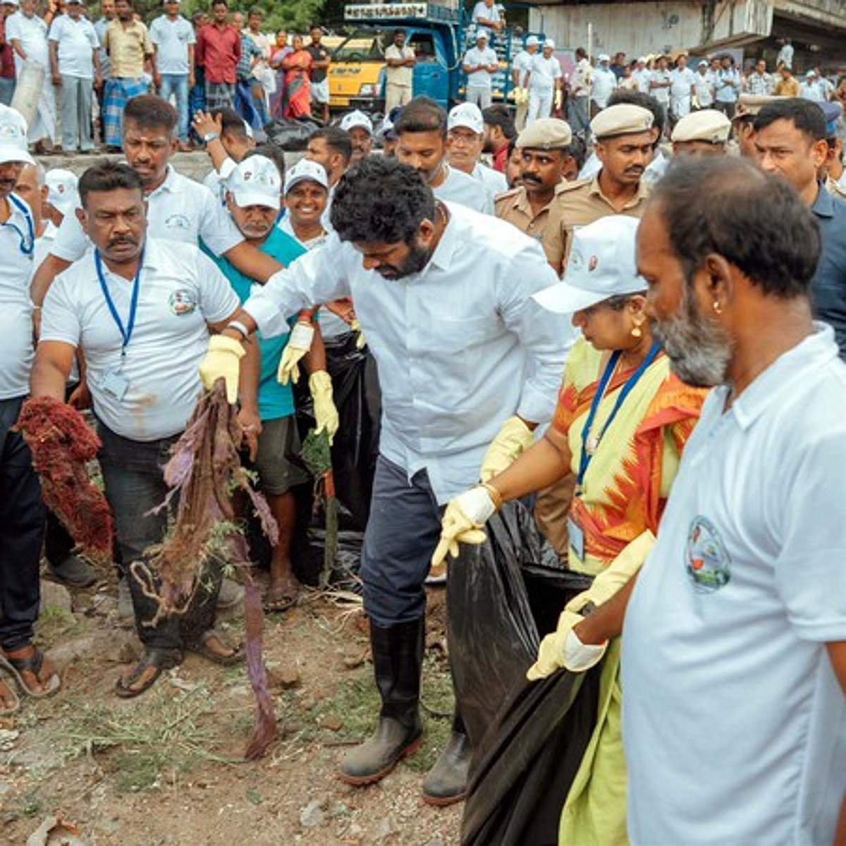 News image