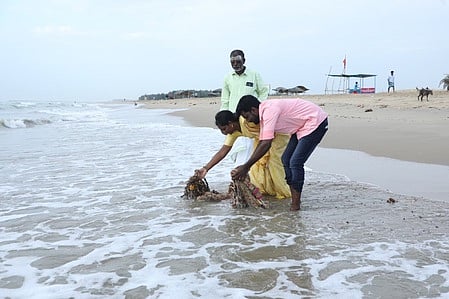 ஆடிப்பெருக்கு நாளில் வெறிச்சோடி காணப்பட்ட தேவனாம்பட்டினம் வெள்ளிக் கடற்கரையில் மாலைகளை விட்ட புதுமணத் தம்பதிகள்.