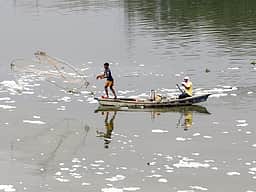 ஹரியாணாவைவிட தில்லி யமுனை மீன்களில் நுண்நெகிழிகள் அதிகம்: ஆய்வில் தகவல்