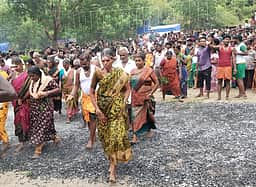வெடால் ஸ்ரீபச்சையம்மன் கோயிலில் தீமிதி திருவிழா