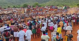 கோயில் திருவிழாவில் எருது ஓட்டம்