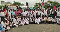 விராலிமலையில் உதயநிதி கைதை கண்டித்து திமுகவினா் சாலை மறியல்: 79 போ் கைது