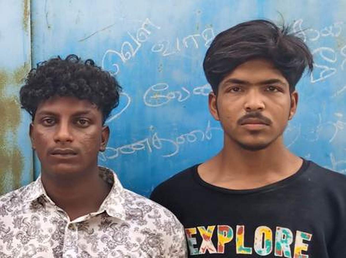 News image