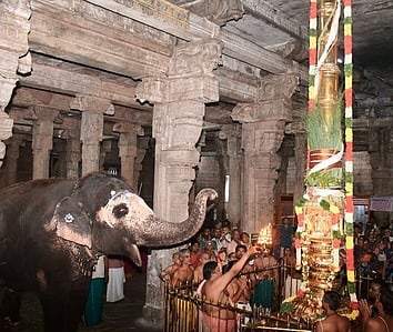 திருவானைக்காவல் கோயிலில் புதன்கிழமை இரவு தங்கக் கொடிமரத்தில் நடைபெற்ற கொடியேற்றம்
