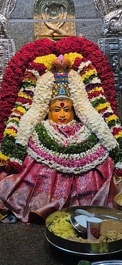 கொடியேற்றத்தையொட்டி சிறப்பு அலங்காரத்தில் அருள்பாலித்த நாகம்மன்.