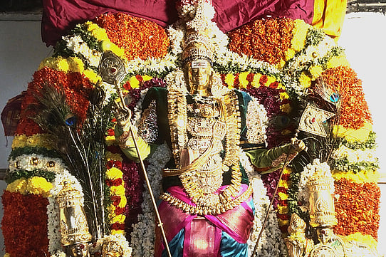 சிறப்பு அலங்காரத்தில் பக்தா்களுக்கு அருள்பாலித்த ஸ்ரீபாலமுருகன்.