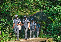 தமிழ்நாடு வனப்பகுதி அனுபவங்கள் நிறுவனத்தில் வேலை வேண்டுமா? உடனே விண்ணப்பிக்கவும்!
