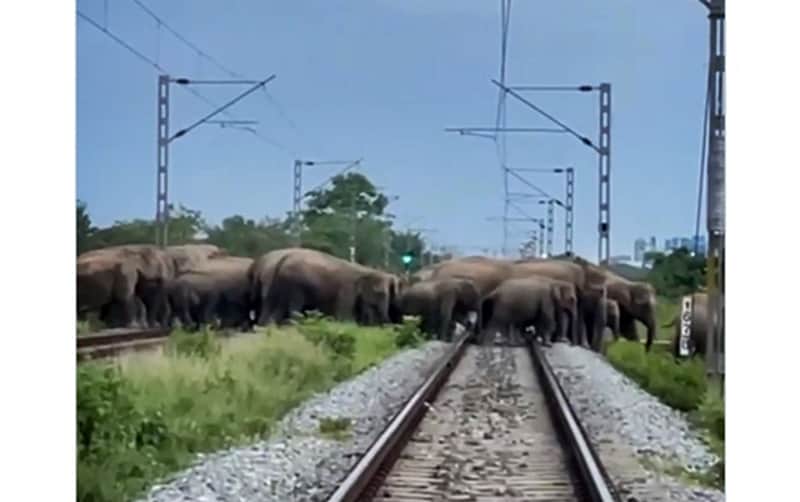 Rajdhani Express halted