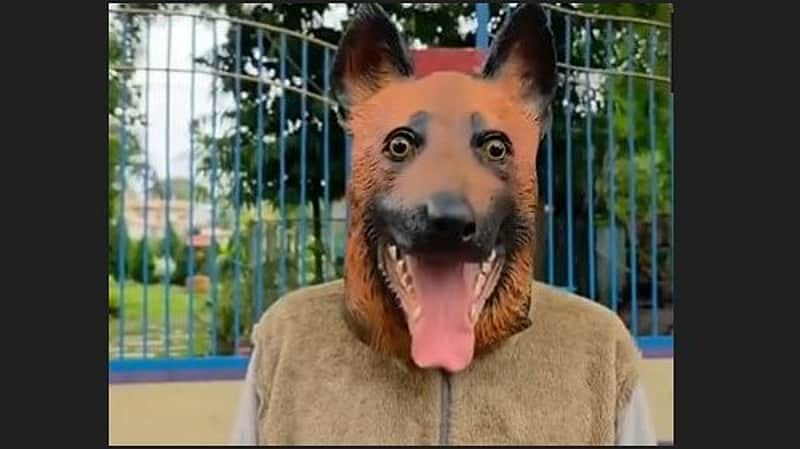A person who came to submit a petition while dressed as a dog.