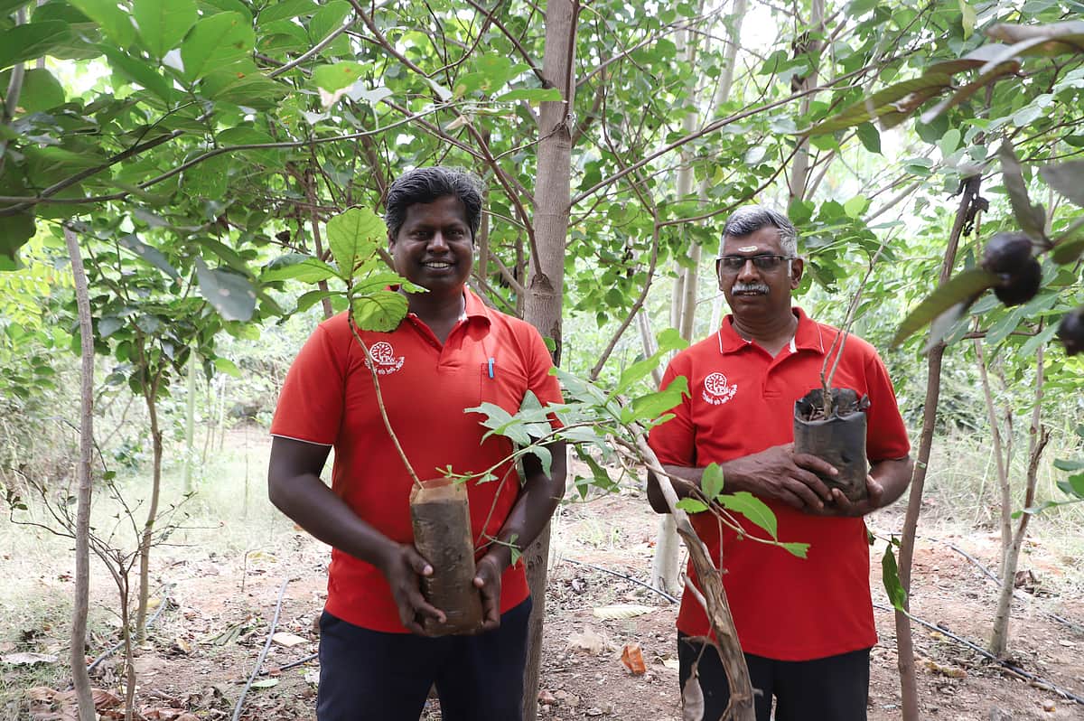 'வாரம் ஒரு மரம்' அமைப்பின் பசுமைப் புரட்சி!