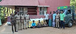 பாவூா்சத்திரம் அருகே காய்கனி வேனில் குட்கா, போதை பொருள்கள் கடத்திய 3 போ் கைது