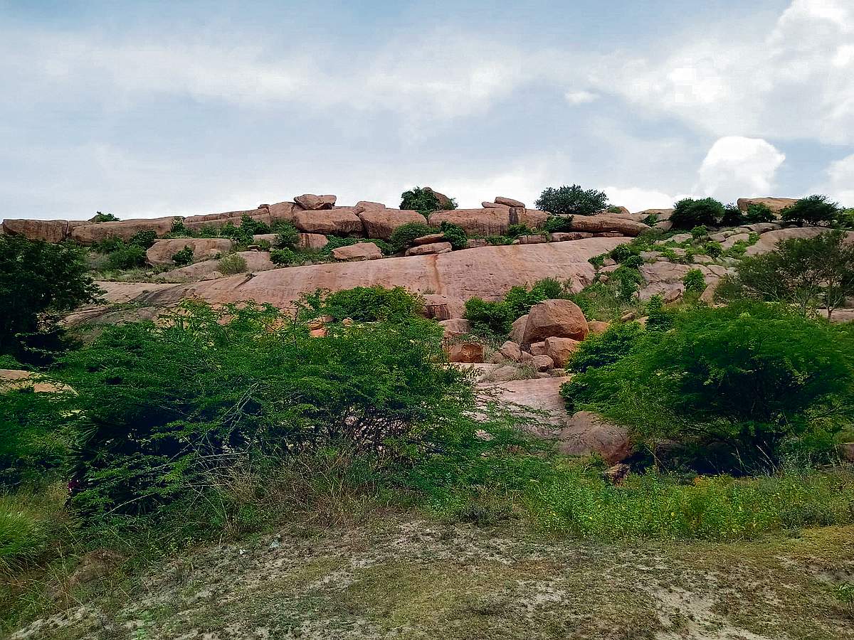 தமிழ் நாகரிகத்தின் முதல் பள்ளி...
