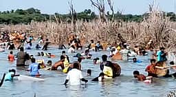 வடவன்பட்டியில் மீன் பிடித் திருவிழா