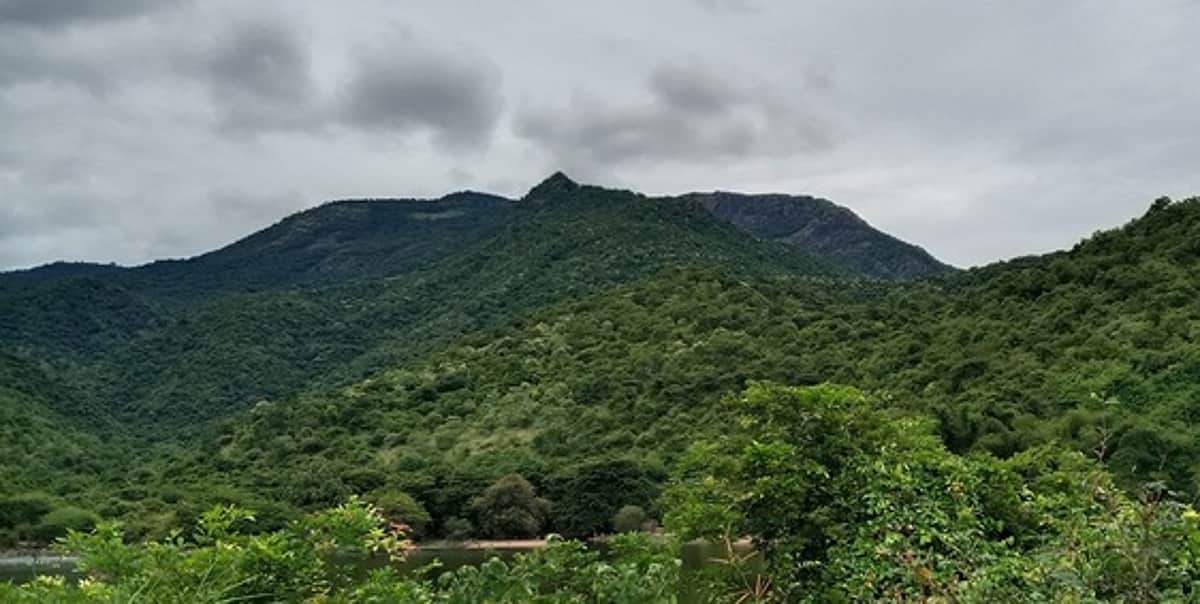 சிறுமலை வனப் பகுதி பாதுகாக்கப்படுமா?