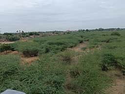அமராவதி ஆற்றில் வளா்ந்துள்ள 
சீமைக்கருவேல மரங்கள் அகற்ற கோரிக்கை