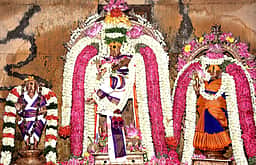 ஆவணி சதுா்த்தசி: நடராஜருக்கு சிறப்பு அபிஷேகம்