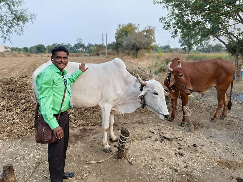 S Annadurai