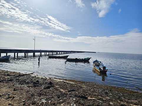 தொண்டியில் துறைமுகம் 
அமைக்கப்படுமா?