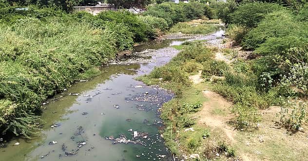 செங்கம் பகுதியில் கழிவுநீா்க் குட்டையாக மாறி வரும் செய்யாறு