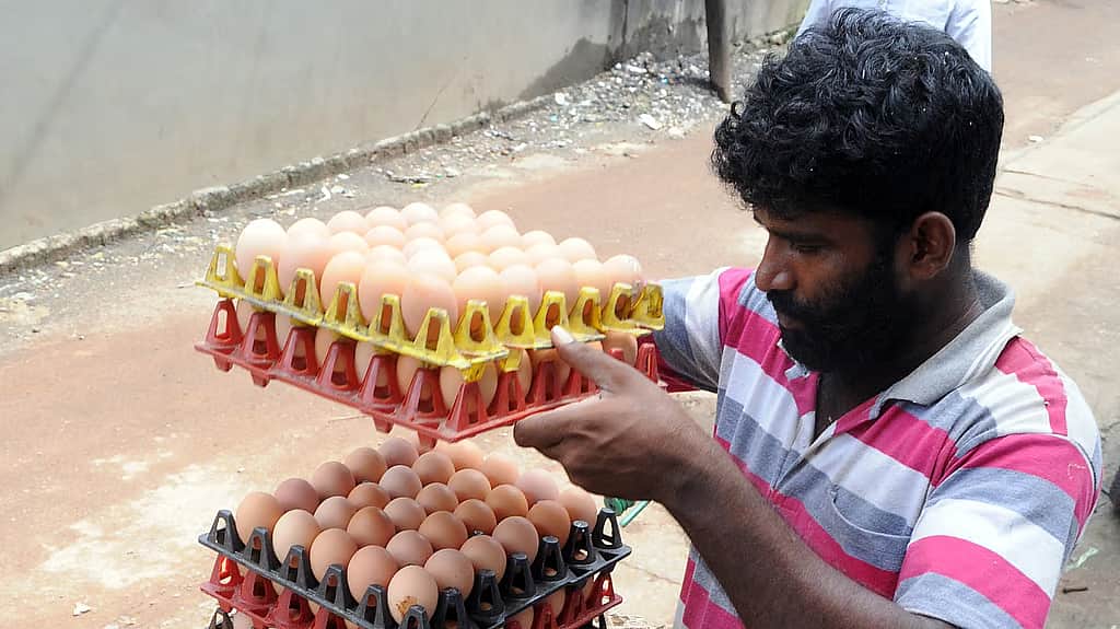 இ20 பெட்ரோலால் எகிறும் முட்டை விலை... எத்தனாலுக்கும் முட்டைக்கும் என்ன தொடர்பு?